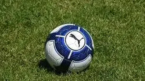 米兰体育 产品 112513 d4l