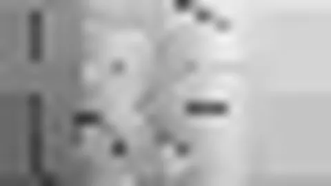 米兰体育 资讯 105733 p3m